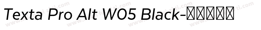 Texta Pro Alt W05 Black字体转换